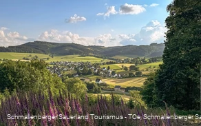 Blick auf Wenholthausen