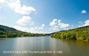 Blick auf den Kronenburger See