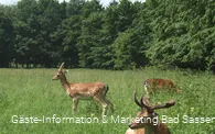 Freiherr-von-Wintzingerode-Park