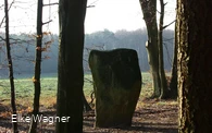 Wintersonne - Druidenstein bei Bollendorf