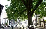 Nicolaiviertel 