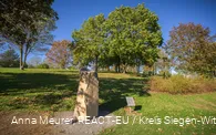 Kurpark Freudenberg