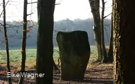 Wintersonne - Druidenstein bei Bollendorf