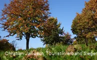Herbstliche Impressionen