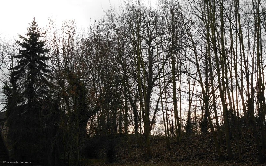 Ehemailiger Bahndamm Bad Sassendorf