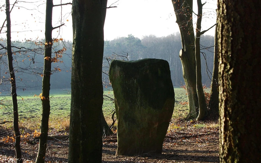 Wintersonne - Druidenstein bei Bollendorf