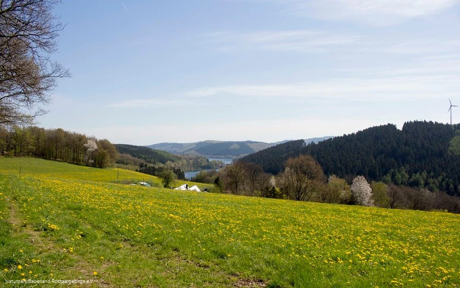 ... die herrliche Landschaft rund um den "Big ... die herrliche Landschaft rund um den "Big