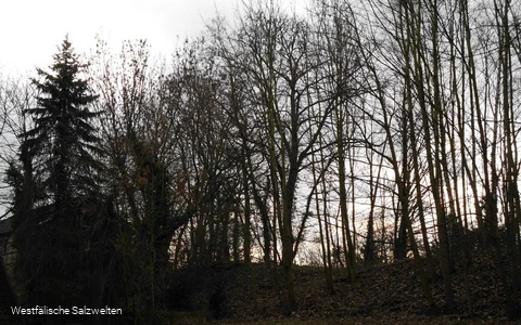 Ehemailiger Bahndamm Bad Sassendorf