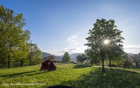 Natur in Bad Lassphe Foto Klaus Peter Kappest