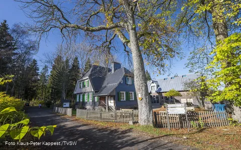 Haus in Netphen