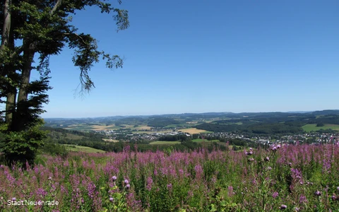 Blick auf Neuenrade