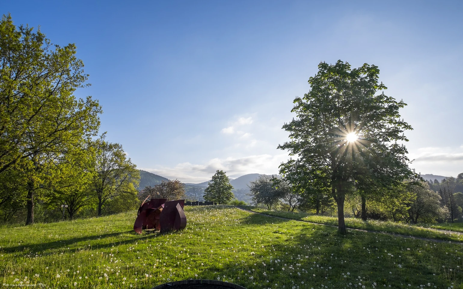 Natur in Bad Lassphe Foto Klaus Peter Kappest