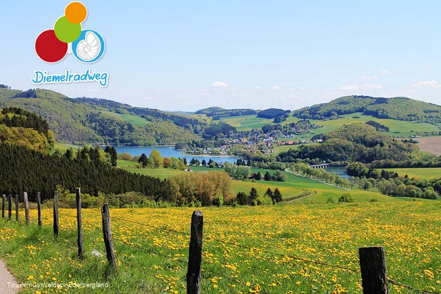Blick auf den Diemelsee