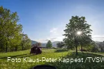 Natur in Bad Lassphe Foto Klaus Peter Kappest