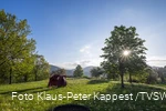 Natur in Bad Lassphe Foto Klaus Peter Kappest