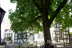 Nicolaiviertel 