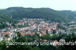 Blick auf Marsberg