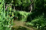 Hederquellgebiet  Salzkotten-Upsprunge