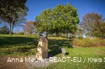 Kurpark Freudenberg