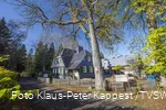 Haus in Netphen