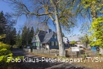 Haus in Netphen
