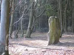 Druidenstein Bollendorf von der Schmalseite