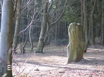 Druidenstein Bollendorf von der Schmalseite