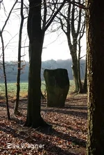 Wintersonne - Druidenstein bei Bollendorf