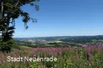 Blick auf Neuenrade